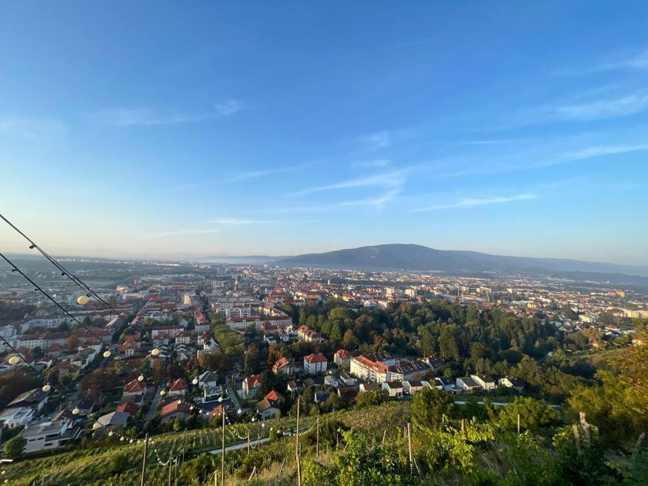 Studio With A View On City Center Park Maribor Bagian luar foto